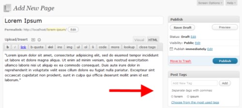 TagPages - editing a page in the Admin Menu TagPages - editing a page in the Admin Menu